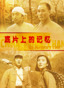 一级黄色蝶片