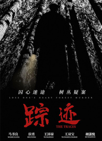 成年人观看视频